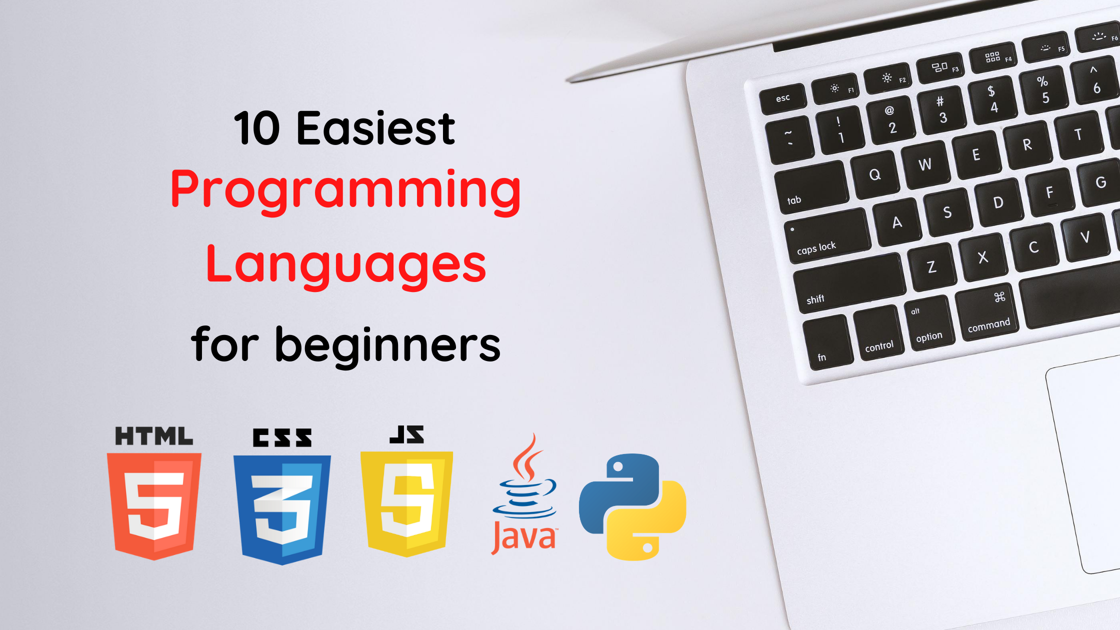 1o easiest programming languages for beginners