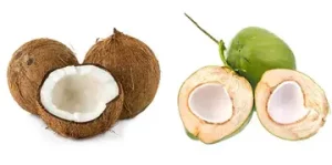 Brown vs Green coconut
