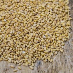 Best Gluten-Free Substitute For Wheat Berries