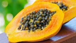 How To Identify Male And Female Papaya Seeds